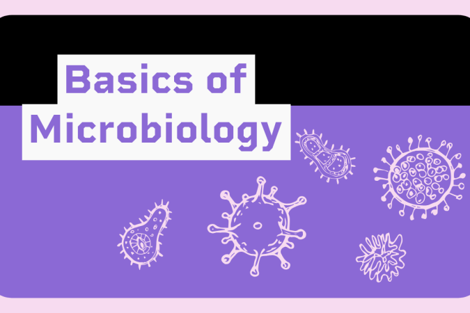 Basics of Microbiology