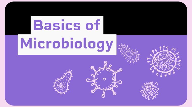 Basics of Microbiology