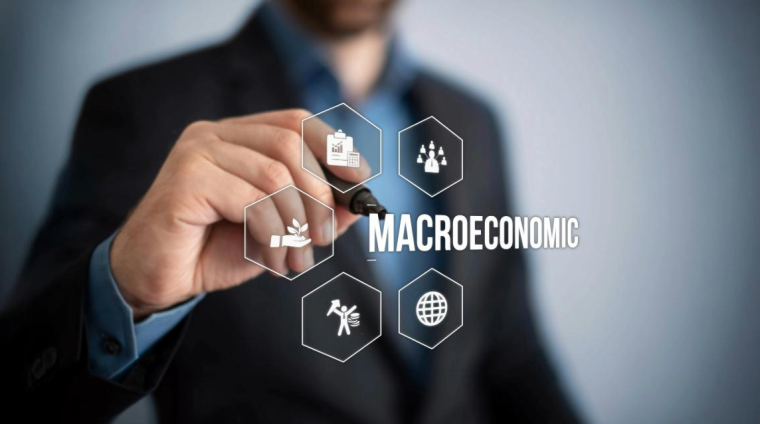 Macroeconomics Principles and Applications